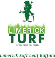 Limerick Soft Leaf Buffalo