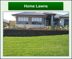 Home Lawns Home Lawns