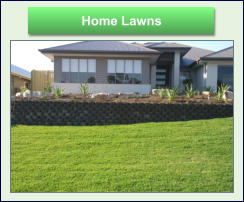 Home Lawns Home Lawns